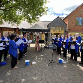 Rising Voices Eco Fair Ringwood 2022